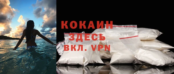 крисы Вязьма