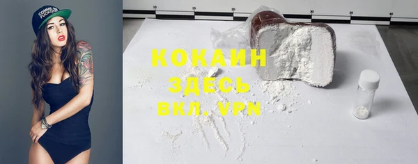 дурь Туринск