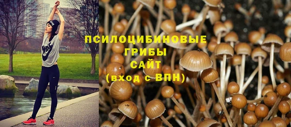 кристаллы Вяземский