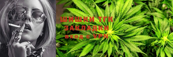 крисы Вязьма